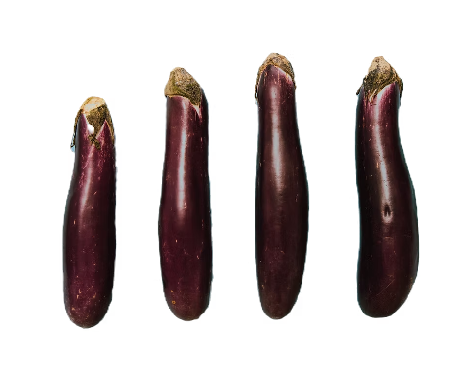 Penis Girth Enhancement